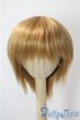 画像1: 9-10inch/ウィッグ U-25-09-23-041-TN-ZU (1)