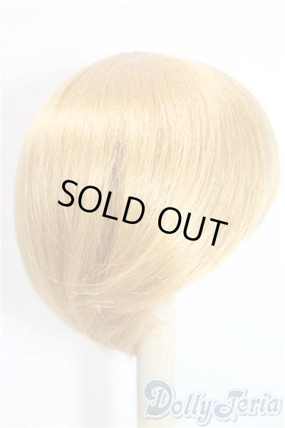 画像4: 8-9inch/ウィッグ U-25-09-23-023-TN-ZU (4)