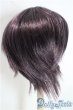 画像4: 7-8inch/ウィッグ U-25-09-23-019-TN-ZU (4)