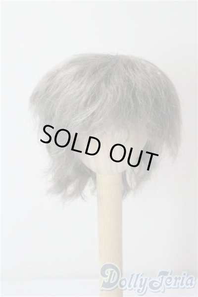 画像1: 8inch/ウィッグ U-25-09-16-096-TN-ZU (1)