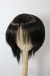 画像1: 8-9inch/ウィッグ U-25-10-21-037-TN-ZU (1)