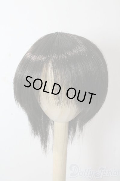 画像1: 8-9inch/ウィッグ U-25-10-21-037-TN-ZU (1)