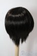 画像2: 8-9inch/ウィッグ U-25-10-21-037-TN-ZU (2)