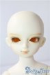 画像1: SDM/フルチョイスF19 U-25-10-07-218-TN-ZU (1)