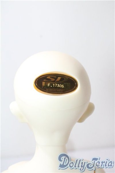 画像7: SDMBOY/フルチョイス：F-35 U-25-09-30-218-TN-ZU (7)