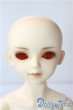 画像1: SDM/フルチョイスF-09 U-25-10-07-217-TN-ZU (1)
