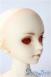 画像2: SDM/フルチョイスF-09 U-25-10-07-217-TN-ZU (2)