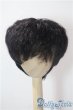 画像1: 8-9inch/ウィッグ U-25-10-28-015-TN-ZU (1)