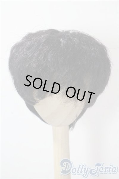 画像1: 8-9inch/ウィッグ U-25-10-28-015-TN-ZU (1)