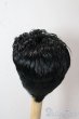 画像2: 7-8inch/ウィッグ U-25-10-21-044-NY-ZU (2)