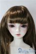 画像1: SD/フルチョイス:SDF-34ヘッド U-25-10-07-220-NY-ZU (1)