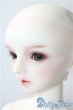 画像4: SD/フルチョイス:SDF-34ヘッド U-25-10-07-220-NY-ZU (4)
