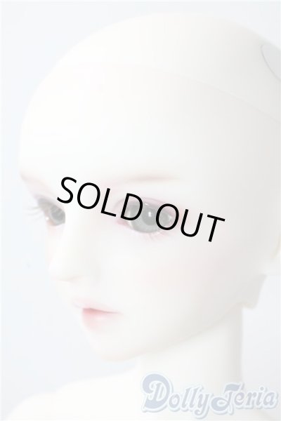 画像4: SD/フルチョイス:SDF-34ヘッド U-25-10-07-220-NY-ZU (4)