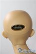 画像6: SD17男の子/レグルス 星間学寮Ver. U-25-10-07-219-TN-ZU (6)