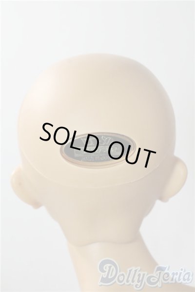 画像6: SD17男の子/レグルス 星間学寮Ver. U-25-10-07-219-TN-ZU (6)