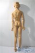 画像8: SD17男の子/レグルス 星間学寮Ver. U-25-10-07-219-TN-ZU (8)