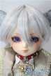画像1: SDM男の子/フルチョイスF-75 U-25-10-07-211-TN-ZU (1)