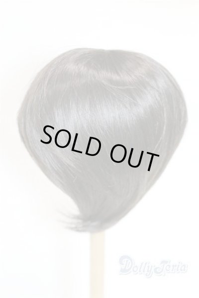 画像2: 9-10inch/ウィッグ U-25-10-14-223-TN-ZU (2)