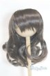 画像1: 9-10inch/ウィッグ U-25-10-14-232-TN-ZU (1)