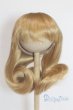 画像1: 8-9inch/ウィッグ U-25-10-14-267-TN-ZU (1)