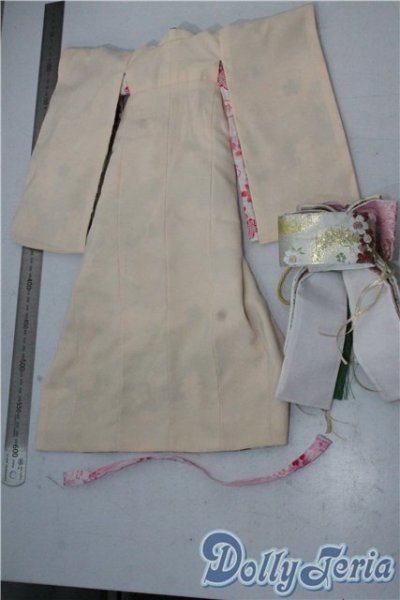 画像2: SDM＆MSD/OF:衣装セット U-25-10-14-124-NY-ZU (2)