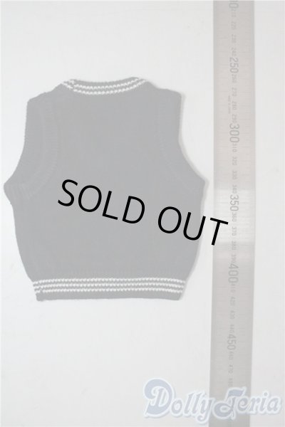 画像2: SD/OF:トップス U-25-10-14-162-TN-ZU (2)