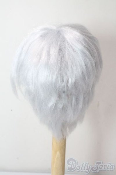 画像2: 8-9inch/ウィッグ U-25-10-21-018-TN-ZU (2)