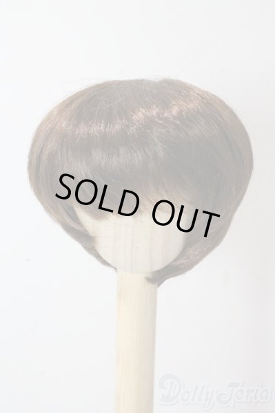 画像1: 8-9inch/ウィッグ U-25-10-21-016-TN-ZU (1)