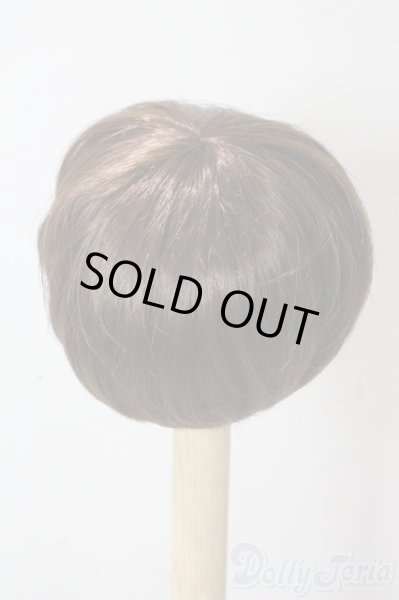 画像2: 8-9inch/ウィッグ U-25-10-21-016-TN-ZU (2)