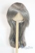 画像1: 8-9inch/ウィッグ U-25-10-07-241-TN-ZU (1)