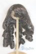 画像1: 9-10inch/ウィッグ U-25-10-07-273-TN-ZU (1)
