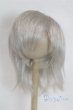 画像1: 9-10inch/ウィッグ U-25-10-07-280-TN-ZU (1)