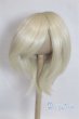 画像1: 9-10inch/ウィッグ U-25-10-07-284-TN-ZU (1)
