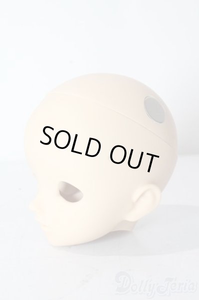 画像2: SDM/F-68:ノーメイクヘッド U-25-10-21-215-TN-ZU (2)