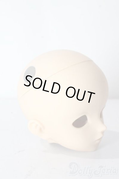 画像3: SDM/F-68:ノーメイクヘッド U-25-10-21-215-TN-ZU (3)