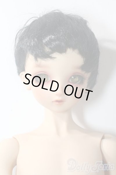 画像1: SDBOY/F-81ヘッド:フルチョイス U-25-10-21-218-TN-ZU (1)