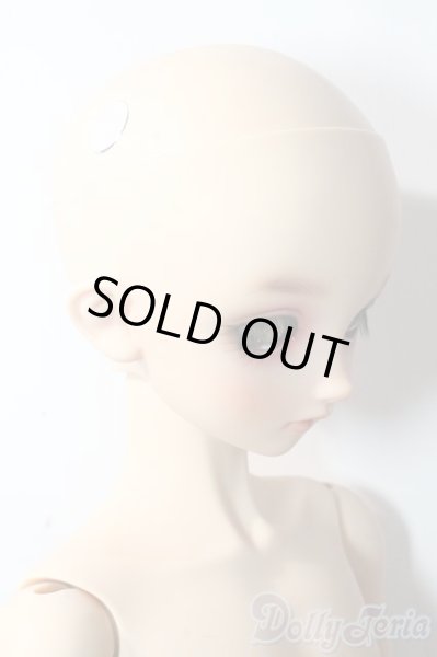 画像3: SDBOY/F-81ヘッド:フルチョイス U-25-10-21-218-TN-ZU (3)