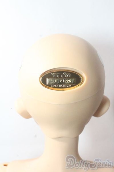 画像4: SDBOY/F-94ヘッド:フルチョイス U-25-10-21-218-TN-ZU (4)