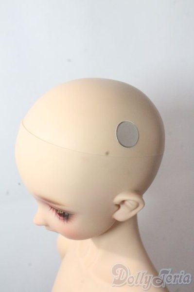 画像8: SDBOY/F-94ヘッド:フルチョイス U-25-10-21-218-TN-ZU (8)