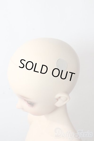 画像8: SDBOY/F-81ヘッド:フルチョイス U-25-10-21-218-TN-ZU (8)