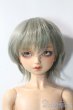 画像1: SDBOY/F-81ヘッド:フルチョイス U-25-10-21-219-TN-ZU (1)
