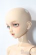画像2: SDBOY/F-81ヘッド:フルチョイス U-25-10-21-219-TN-ZU (2)