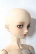 画像3: SDBOY/F-81ヘッド:フルチョイス U-25-10-21-219-TN-ZU (3)