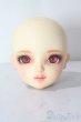 画像1: SDGrG/SDGr/ルチア 2nd(アンティークスタイリストver):ヘッドのみ U-25-10-21-212-TN-ZU (1)