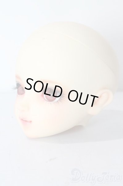 画像2: SDGrG/SDGr/ルチア 2nd(アンティークスタイリストver):ヘッドのみ U-25-10-21-212-TN-ZU (2)