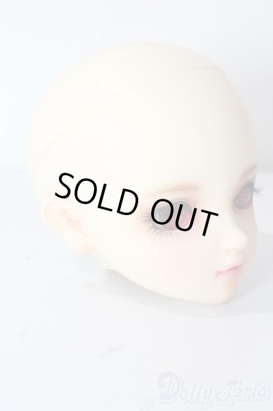 画像3: SDGrG/SDGr/ルチア 2nd(アンティークスタイリストver):ヘッドのみ U-25-10-21-212-TN-ZU (3)