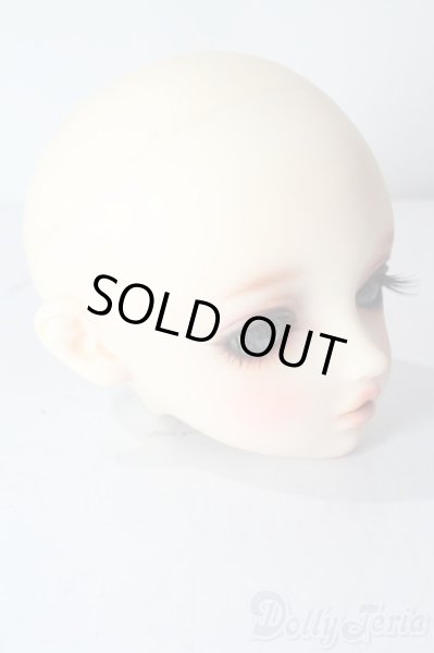 画像3: SDGIRL/ルナ ワンオフモデル:ヘッドのみ U-25-10-21-214-TN-ZU (3)