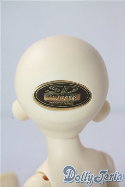 画像4: 幼SD/ピッコロ クラウンド ホワイト キング U-25-10-28-212-TN-ZU (4)