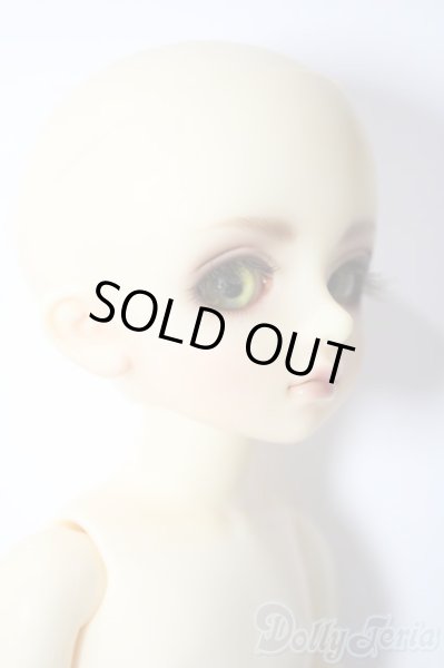 画像3: 幼SD/ピッコロ　クラウンド ホワイト キング U-25-11-05-211-TN-ZU (3)