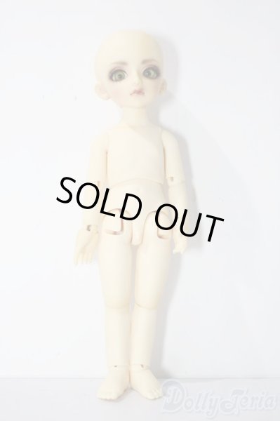 画像4: 幼SD/ピッコロ　クラウンド ホワイト キング U-25-11-05-211-TN-ZU (4)